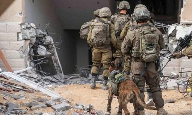 بلومبيرج: حرب غزة تستنزف الاقتصاد الإسرائيلي واستدعاء الاحتياط يفاقم خسائر الشركات 1 بلومبيرج: حرب غزة تستنزف الاقتصاد الإسرائيلي واستدعاء الاحتياط يفاقم خسائر الشركات