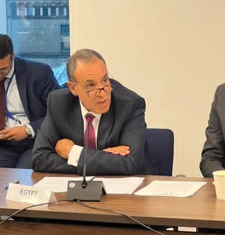 وزير الخارجية : مصر تدعم سيادة السودان ووحدة أراضيه ومؤسساته الوطنية 1 وزير الخارجية : مصر تدعم سيادة السودان ووحدة أراضيه ومؤسساته الوطنية