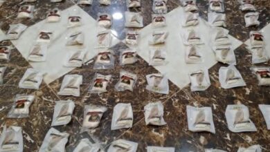 القوات المسلحة الأردنية: إحباط 3 محاولات تهريب مخدرات على الحدود الشرقية