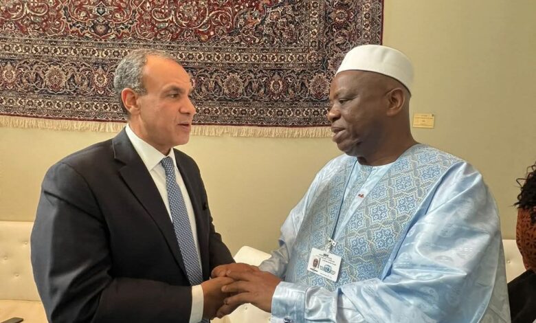 وزير الخارجية يلتقي نظيره الغيني 1 وزير الخارجية يلتقي نظيره الغيني