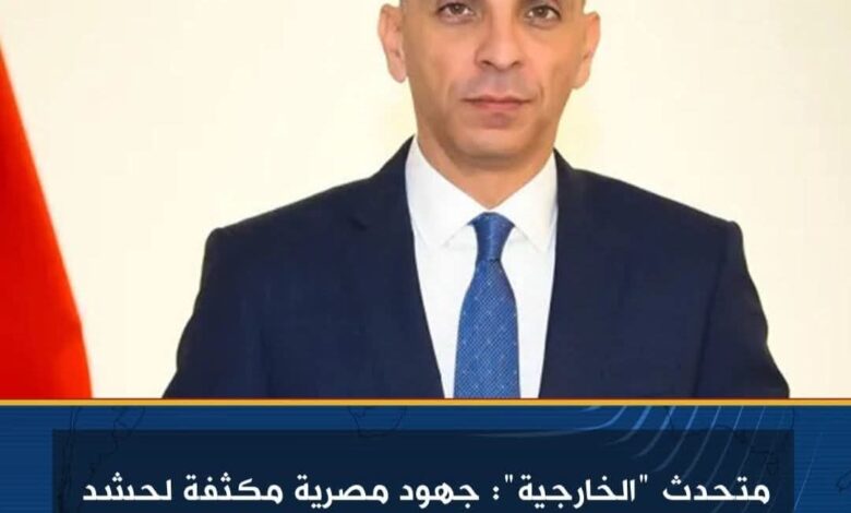 متحدث "الخارجية": جهود مصرية مكثفة لحشد الاعتراف بالدولة الفلسطينية في الأمم المتحدة