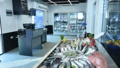 وزير التموين ومدير جهاز مستقبل مصر ومحافط القاهرة ورئيس جهاز تنمية المشروعات يفتتحون أول ثلاثة فروع مطوّرة للمجمعات الاستهلاكية