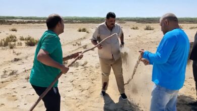البيئة: إزالة 6 آلاف متر من شباك الصيد المخالفة بمحمية أشتوم الجميل في بورسعيد