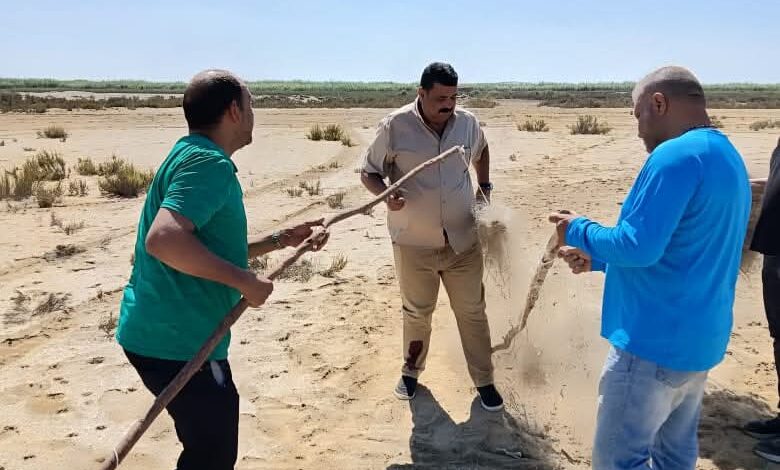 البيئة: إزالة 6 آلاف متر من شباك الصيد المخالفة بمحمية أشتوم الجميل في بورسعيد