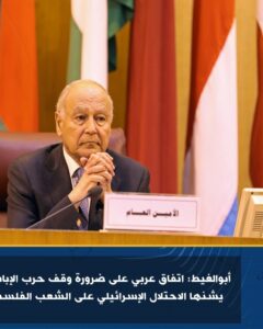 أبوالغيط: اتفاق عربي على ضرورة وقف حرب الإبادة التي يشنها الاحتلال الإسرائيلي على الشعب الفلسطيني 2 أبوالغيط: اتفاق عربي على ضرورة وقف حرب الإبادة التي يشنها الاحتلال الإسرائيلي على الشعب الفلسطيني
