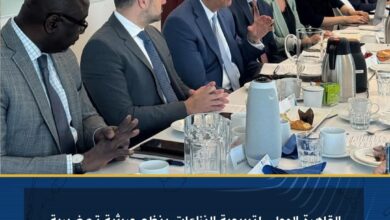 القاهرة الدولي لتسوية النزاعات ينظم ورشة تحضيرية لمنتدى أسوان حول بناء السلام 