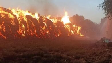 السيطرة على حريق داخل عصارة قصب دون إصابات في فرشوط  شمال قنا