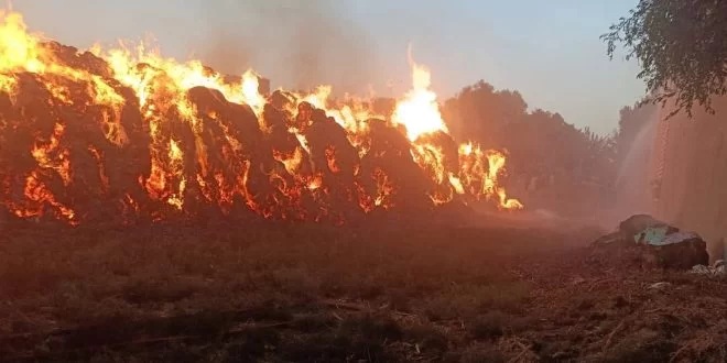 السيطرة على حريق داخل عصارة قصب دون إصابات في فرشوط  شمال قنا