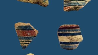 إكتشاف قلعة عسكرية جديدة من عصر الدولة الحديثة على طريق حورس الحربي بسيناء