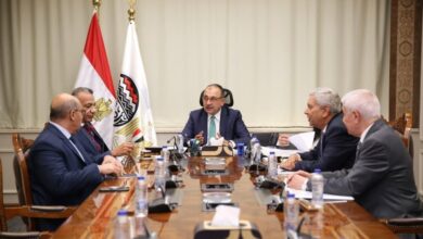 وزير قطاع الأعمال يبحث مع نقيب أطباء الأسنان آليات تأمين احتياجات السوق من بنج الأسنان  