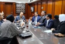 قنا تضع خطة شاملة للتعامل مع الحيوانات الضالة وإنشاء ملجأ بعيدا عن المناطق السكنية
