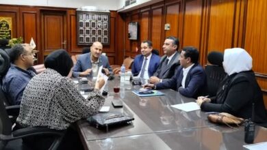 قنا تضع خطة شاملة للتعامل مع الحيوانات الضالة وإنشاء ملجأ بعيدا عن المناطق السكنية