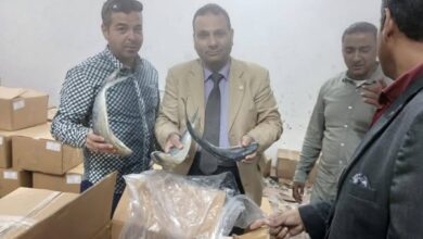 ضبط كميات من الأسماك والجمبرى الفاسد خلال حمله تموينية على ثلاجات الحفظ بالاسكندريه