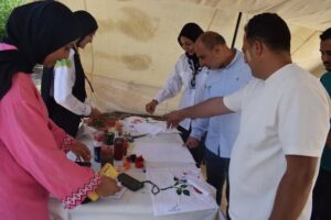 جامعة العريش نظمت معسكرًا للجوالة 2 جامعة العريش نظمت معسكرًا للجوالة