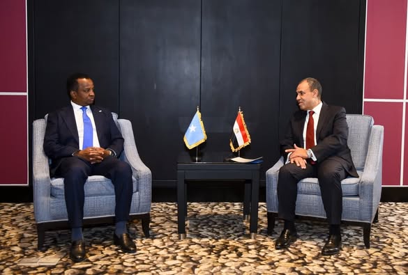 وزير الخارجية يبحث مع نظيره الصومالي تعزيز الشراكة الاستراتيجية بين البلدين