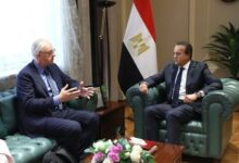 خالد عبدالغفار يبحث مع المدير التنفيذي لوكالة الاتحاد الأوروبي للمخدرات للتعاون في مكافحة الإدمان