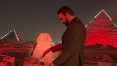 النجم العالمي محمد كريم.. من القاهرة إلى هوليوود.. حكاية الفنان الذي صار إمبراطورية