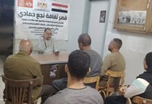 قصر ثقافةنجع حمادي ينظم محاضرة ثقافيةبعنوان فجر الرواية المصرية