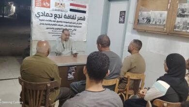 قصر ثقافةنجع حمادي ينظم محاضرة ثقافيةبعنوان فجر الرواية المصرية