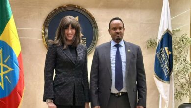 إيطاليا بصدد تنفيذ مشروعات بحثية في الدول الأفريقية