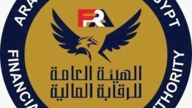 الرقابة المالية تصدر ضوابط إنشاء المنصات الرقمية للاستثمار