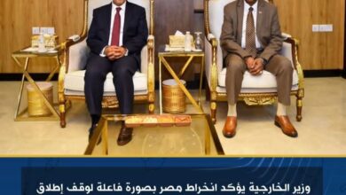 وزير الخارجية يؤكد انخراط مصر بصورة فاعلة لوقف إطلاق النار في السودان
