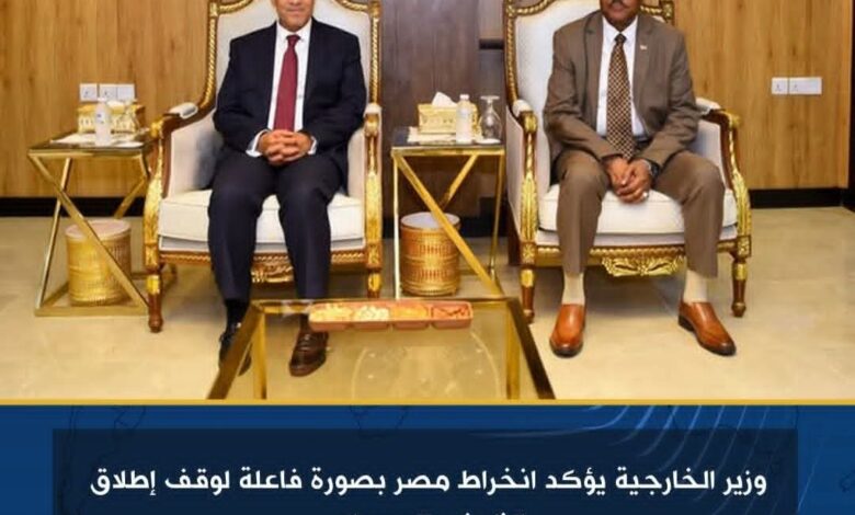 وزير الخارجية يؤكد انخراط مصر بصورة فاعلة لوقف إطلاق النار في السودان 1 وزير الخارجية يؤكد انخراط مصر بصورة فاعلة لوقف إطلاق النار في السودان
