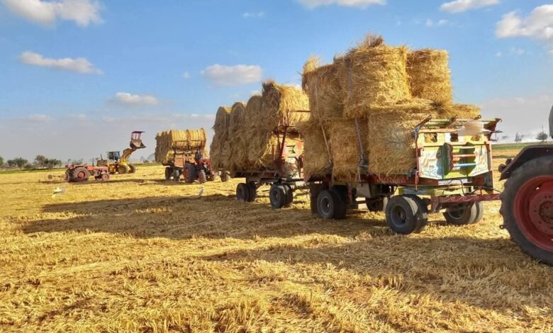 للقضاء على ظاهرة السحابة السوداء... تجميع (106.950) طن قش أرز منذ بداية الحصاد بالشرقية 1 للقضاء على ظاهرة السحابة السوداء... تجميع (106.950) طن قش أرز منذ بداية الحصاد بالشرقية