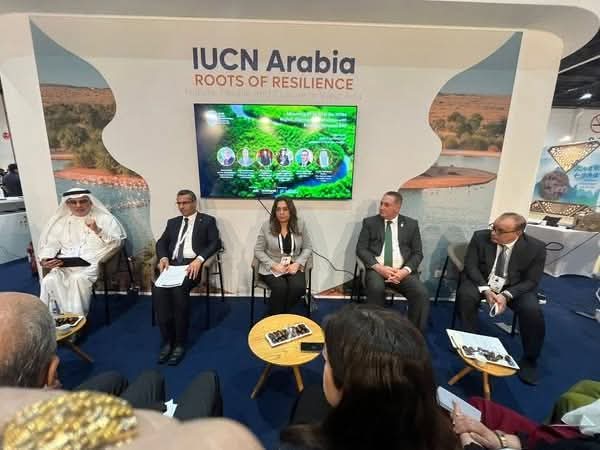 وزيرة البيئة: مصر تحرص على انضمام محمياتها إلى القائمة الخضراء للاتحاد الدولي لصون الطبيعة 1 وزيرة البيئة: مصر تحرص على انضمام محمياتها إلى القائمة الخضراء للاتحاد الدولي لصون الطبيعة