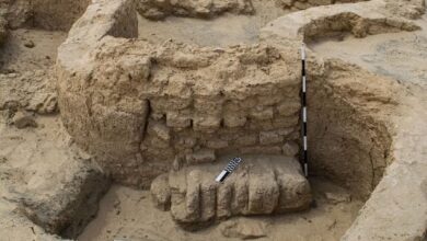 حصون الشرق: اكتشاف قلعة عسكرية جديدة من عصر الدولة الحديثة بسيناء