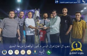 مهرجان الشرقية للخيول العربية الأصيلة 29 يظفر بالنجاح والتميز 2 مهرجان الشرقية للخيول العربية الأصيلة 29 يظفر بالنجاح والتميز
