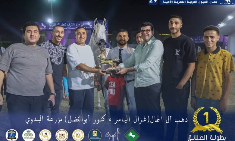 مهرجان الشرقية للخيول العربية الأصيلة 29 يظفر بالنجاح والتميز 1 مهرجان الشرقية للخيول العربية الأصيلة 29 يظفر بالنجاح والتميز