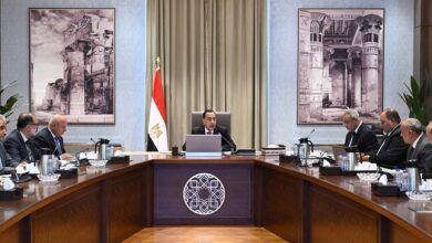 رئيس الوزراء يتابع الإجراءات المتخذة لتوفير اللحوم الحمراء