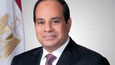 الرئيس السيسي يؤكد حرصه على مواصلة تعزيز العلاقات المصرية الألمانية وتطويرها 