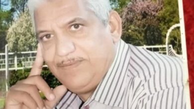 صناعة التاريخ