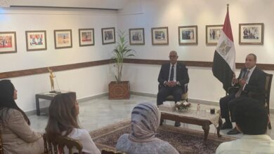 عبد العاطي يؤكد للجالية المصرية بالهند حرص "الخارجية" على الارتقاء بالخدمات القنصلية بالبعثات الدبلوماسية