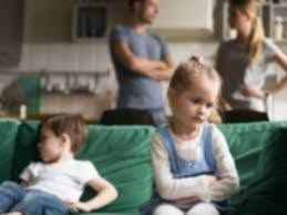 مطلب وطنى بإعادة سن الحضانة والولاية التعليمية والرعاية المشتركة 