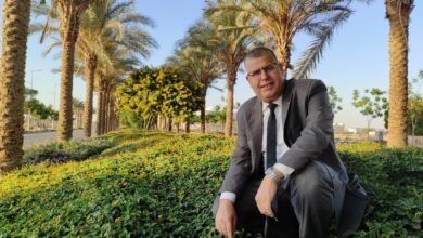 الرخصة في لعب الصبيان بالطيور الحية 12 الرخصة في لعب الصبيان بالطيور الحية