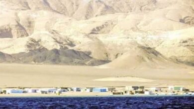 رأس بناس.. جوهرة الجنوب البكر وأكبر تجمع للشعاب المرجانية فى مصر