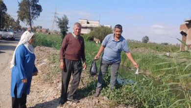 زراعة الشرقية... تواصل تنفيذ فعاليات الحملة القومية لمكافحة القوارض    