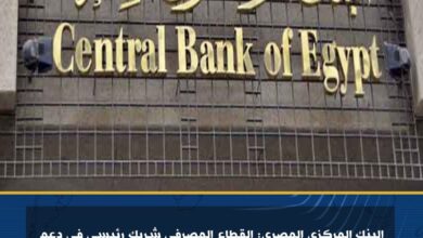 البنك المركزي المصري: القطاع المصرفي شريك رئيسي في دعم الاقتصاد القومي  10 البنك المركزي المصري: القطاع المصرفي شريك رئيسي في دعم الاقتصاد القومي