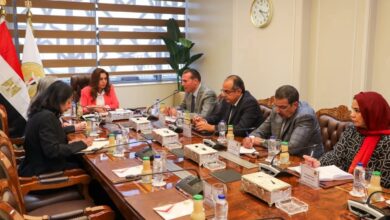 منال عوض تبحث مع البنك الدولي نتائج تنمية الصعيد وخطط خلق فرص العمل 