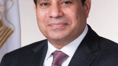 الرئيس السيسي يهنئ ملك إسبانيا بذكرى العيد القومي