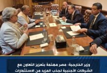 وزير الخارجية: مصر مهتمة بتعزيز التعاون مع الشركات الأجنبية لجذب المزيد من الاستثمارات
