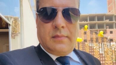 بواسل مصر ..حراس السماء