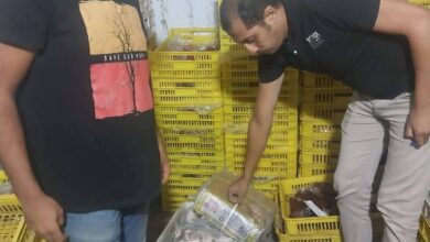 ضبط لحوم و كبدة غير صالحة للاستهلاك الادمى باحد محلات المشويات بالإسكندرية