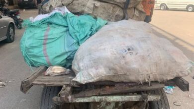 حملة موسعة لازالة «الفريزة» والفروشات بطريق المريوطية واللبيني بالقطاع الشمالي بحي الهرم