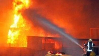 السيطرة على حريق نشب في أشجار ونخيل دون إصابات بقرية شنهور بقوص  جنوب قنا