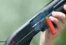  استمرار حبس المتهم في واقعة مقتل شخص وإصابة 3 آخرين بطلقات نارية بقنا