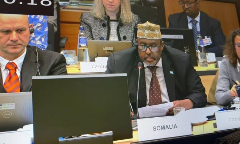 سفير الصومال يلقي كلمته أمام الاجتماع المشترك للمندوبين الدائمين للجامعة العربية والاتحاد الأوروبي